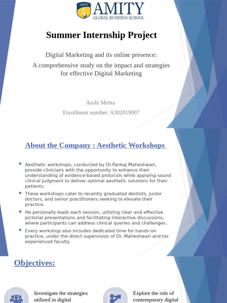 Summer Internship Project Final | PDF