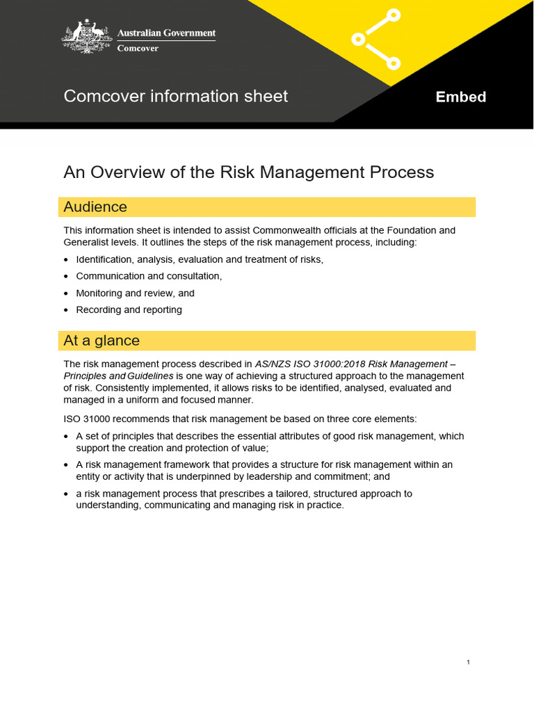 Information Sheet Overview Risk Management Process | PDF