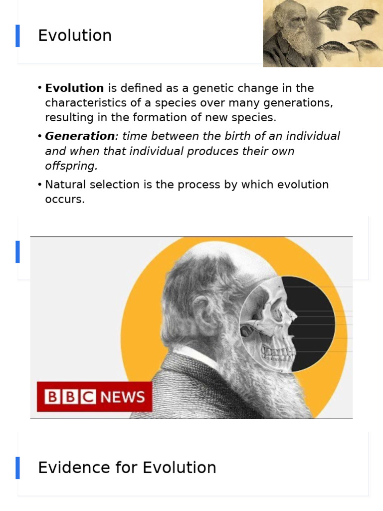 Evidence and Mechanisms of Evolution | PDF | Fossil | Social Science