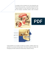 Sendi Temporo Mandibula Merupakan Salah Satu Komponen Dari Sistem Pengunyahan Yang Terdiri Dari Sepasang Sendi Kiri Dan Kanan y