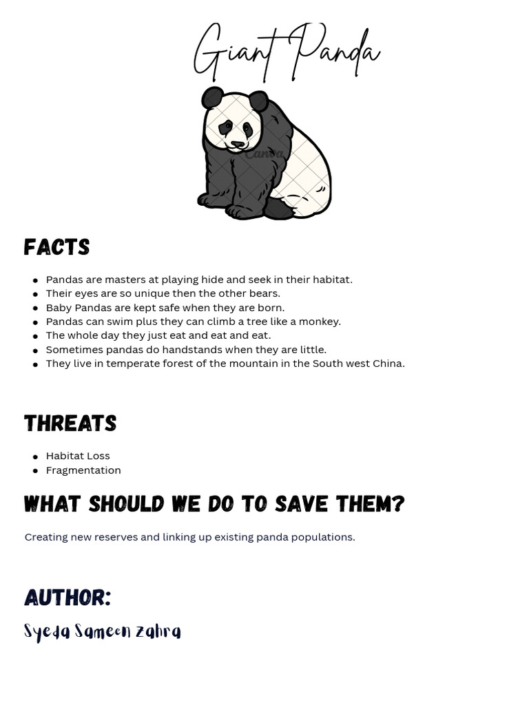 Giant Pandas (6-B) English Project | PDF