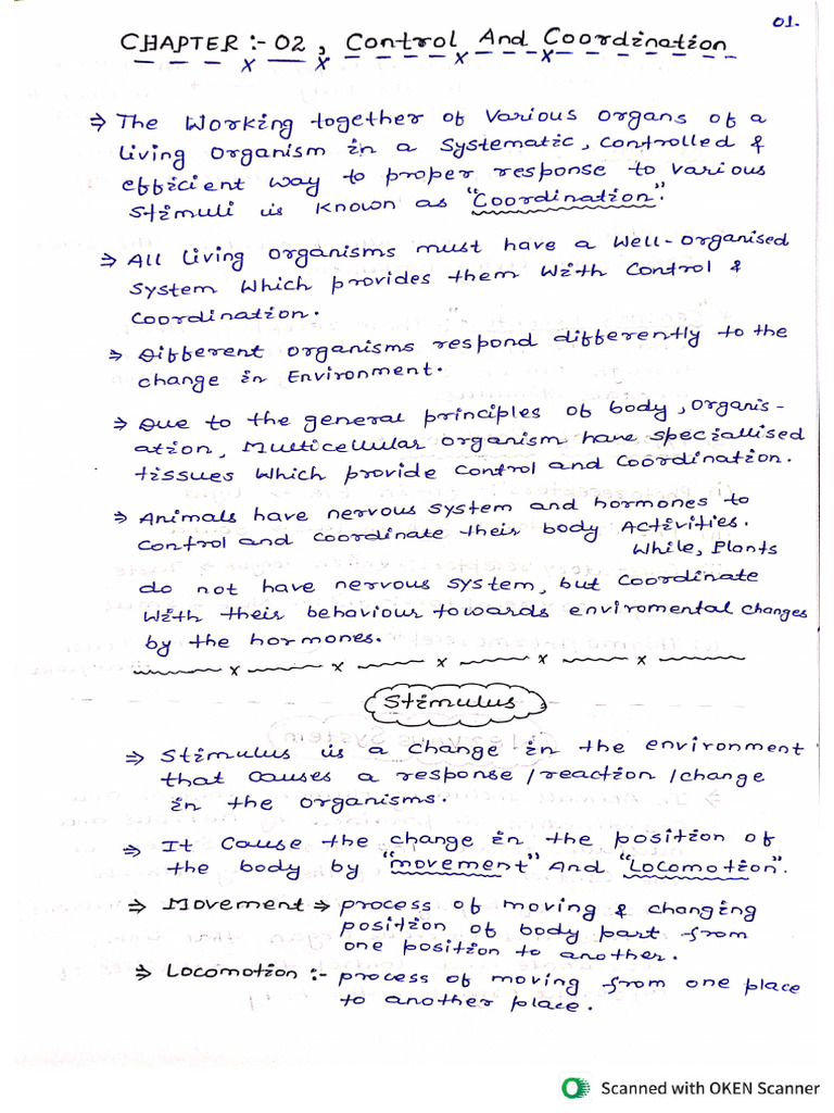 C C Part 1 | PDF