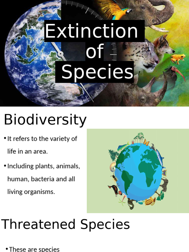 Lesson 6 Extinction | PDF
