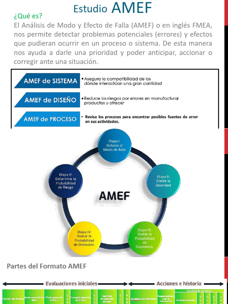 AMEF | PDF