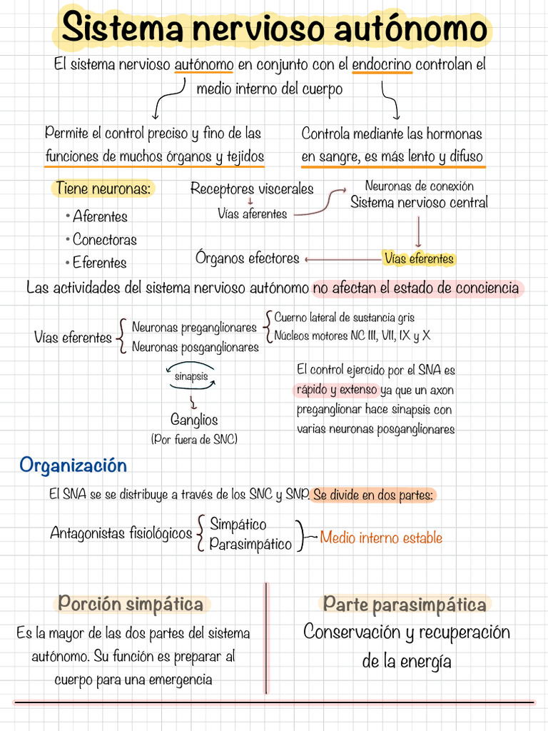 Sistema Nervioso Autónomo Pdf