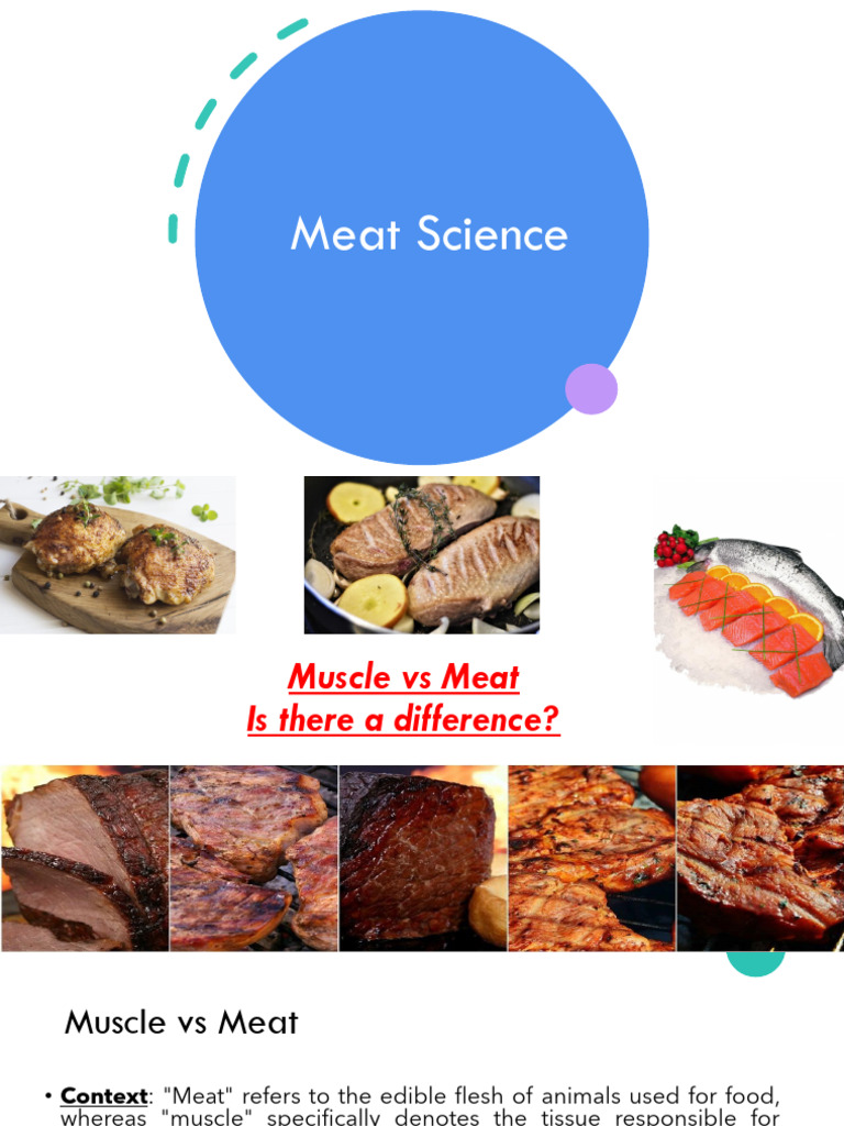 Module+4 +Meat+Science | PDF