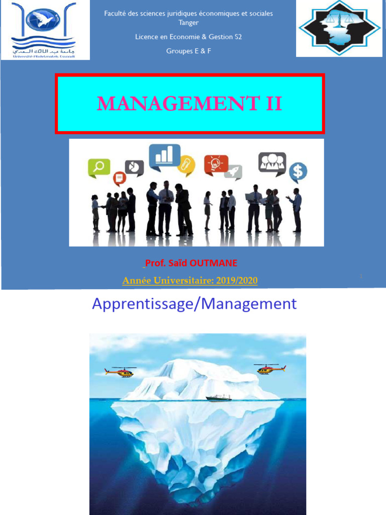 Management II | PDF
