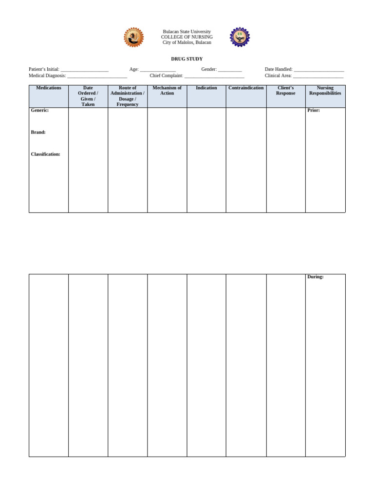 DS Template (Case) | PDF