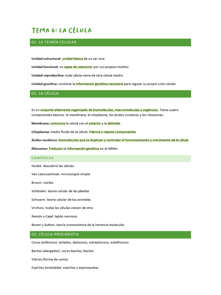 Tema 6 | PDF