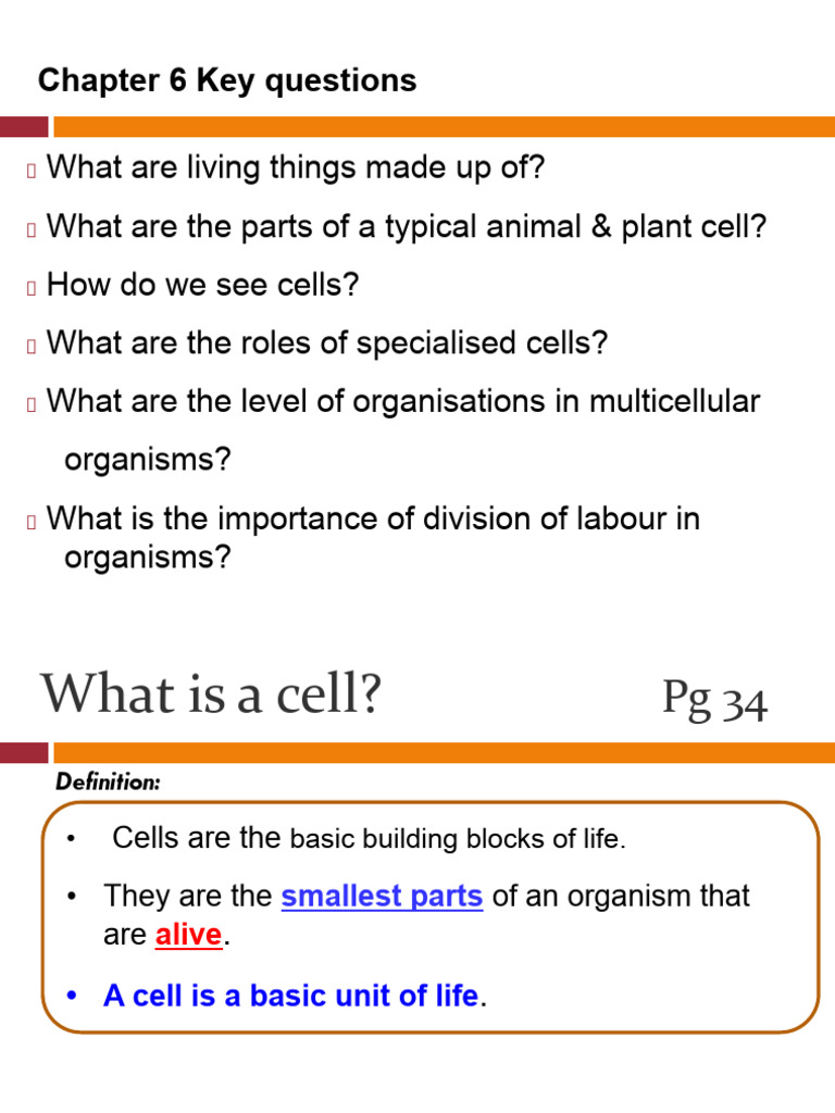 Chapter 6 Cells Lesson Slides | PDF