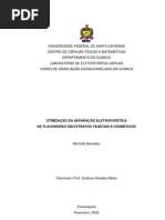 Download TCC Michelle Barcellos by Michelle Barcellos SN76979156 doc pdf