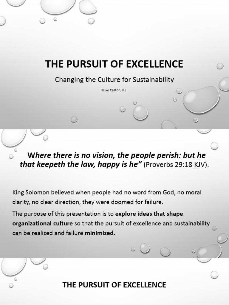 The pursuit of excellence | PDF