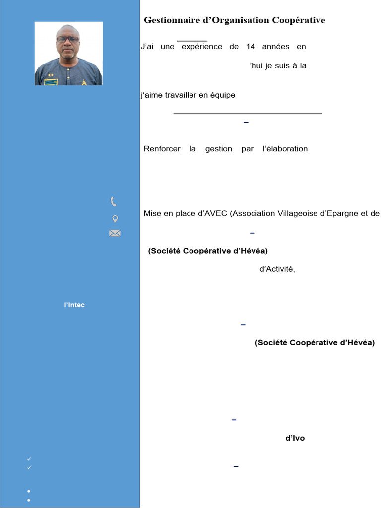 CV Besse Alain | PDF