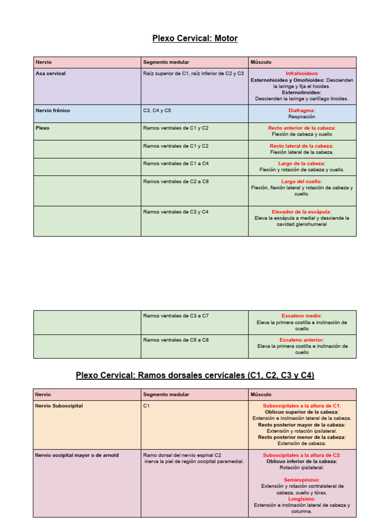 Tablas Plexos | PDF