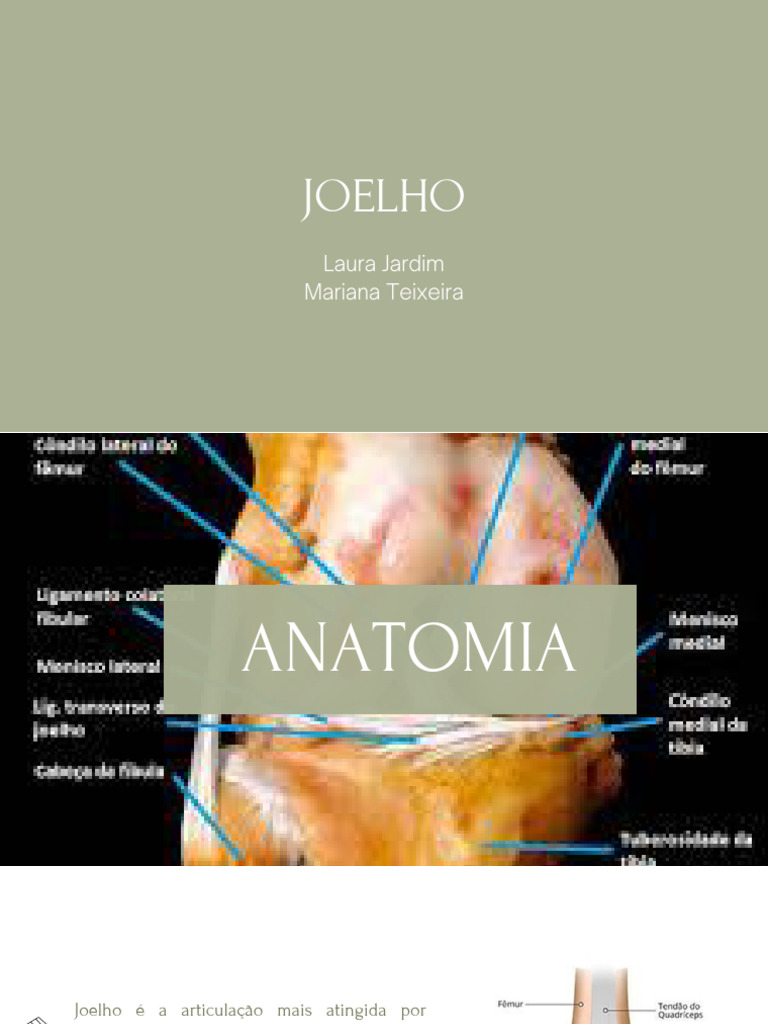 Joelho | PDF