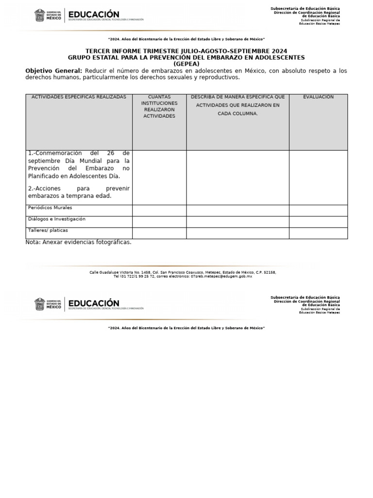 Formato Informe Trimestral (Gepea) Educaciön Primaria | PDF