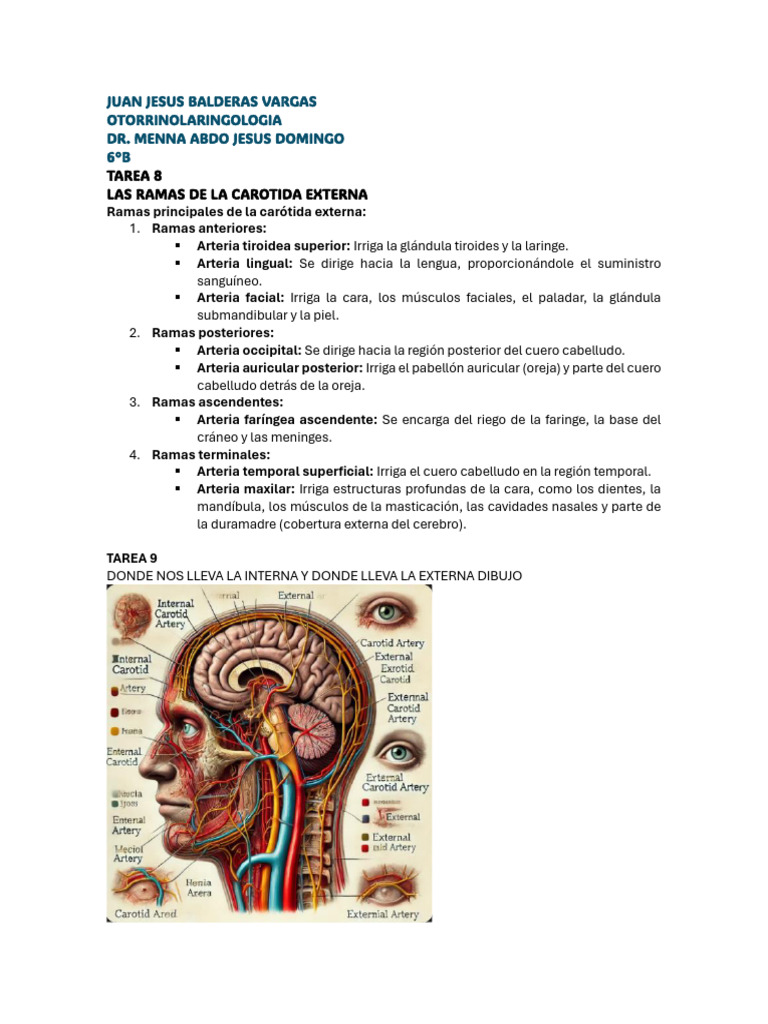 Juan Jesus Balderas Vargas | PDF
