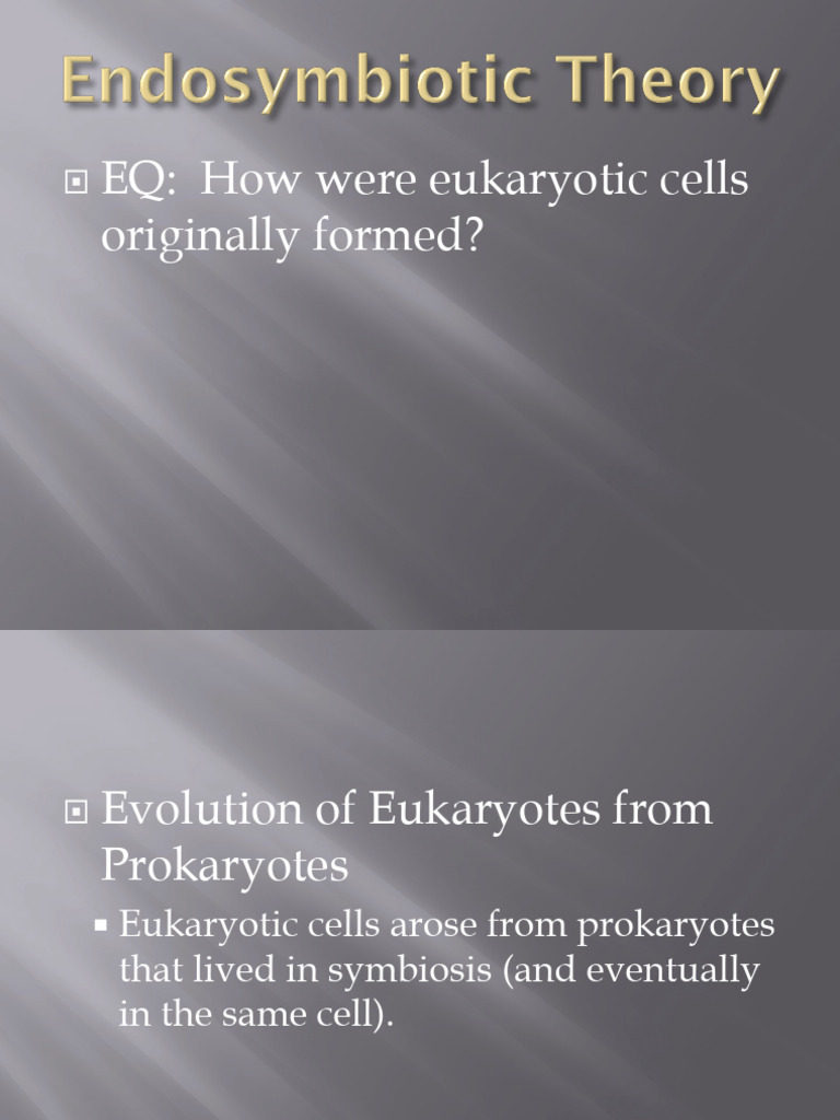 Endosymbiont visual data 2