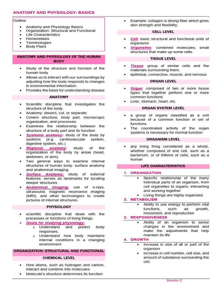 Chapter1 Basic Terms Pdf