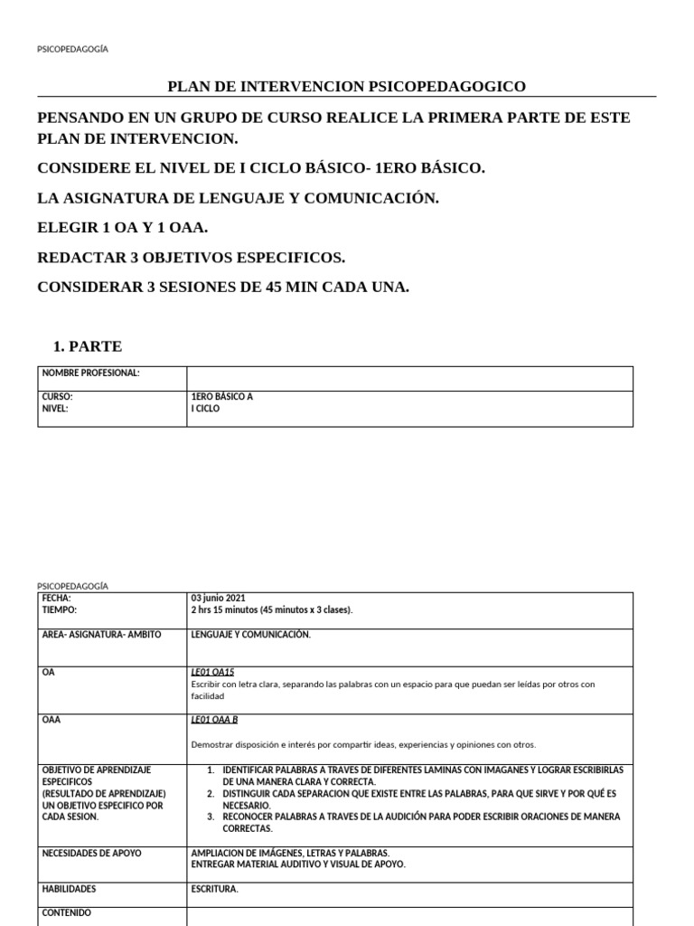 Plan de Intervención Psicopedagógica 1° Básico | PDF | Evaluación ...