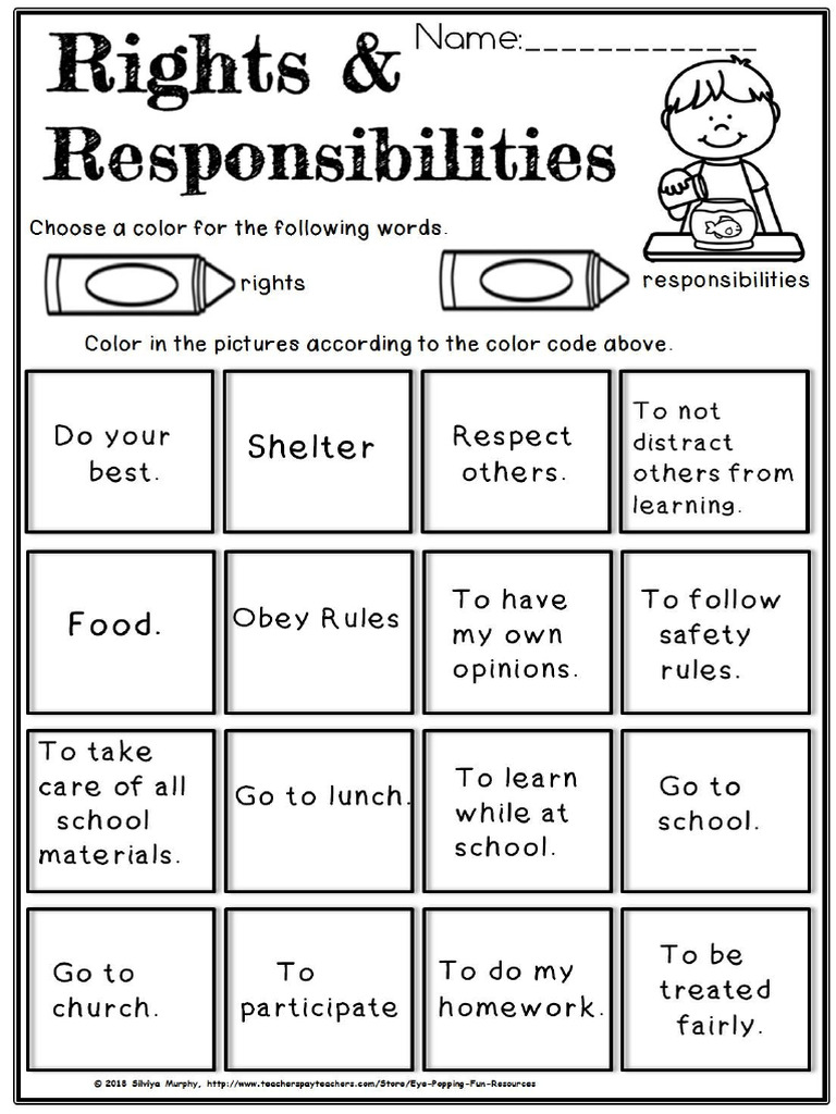 Rightsandresponsibilities 1 | PDF