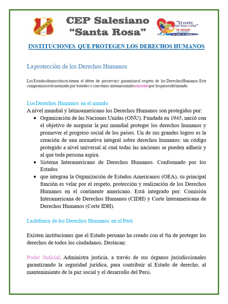 Marco Teorico - Instituciones Que Protegen Los Derechos Humanos | PDF ...