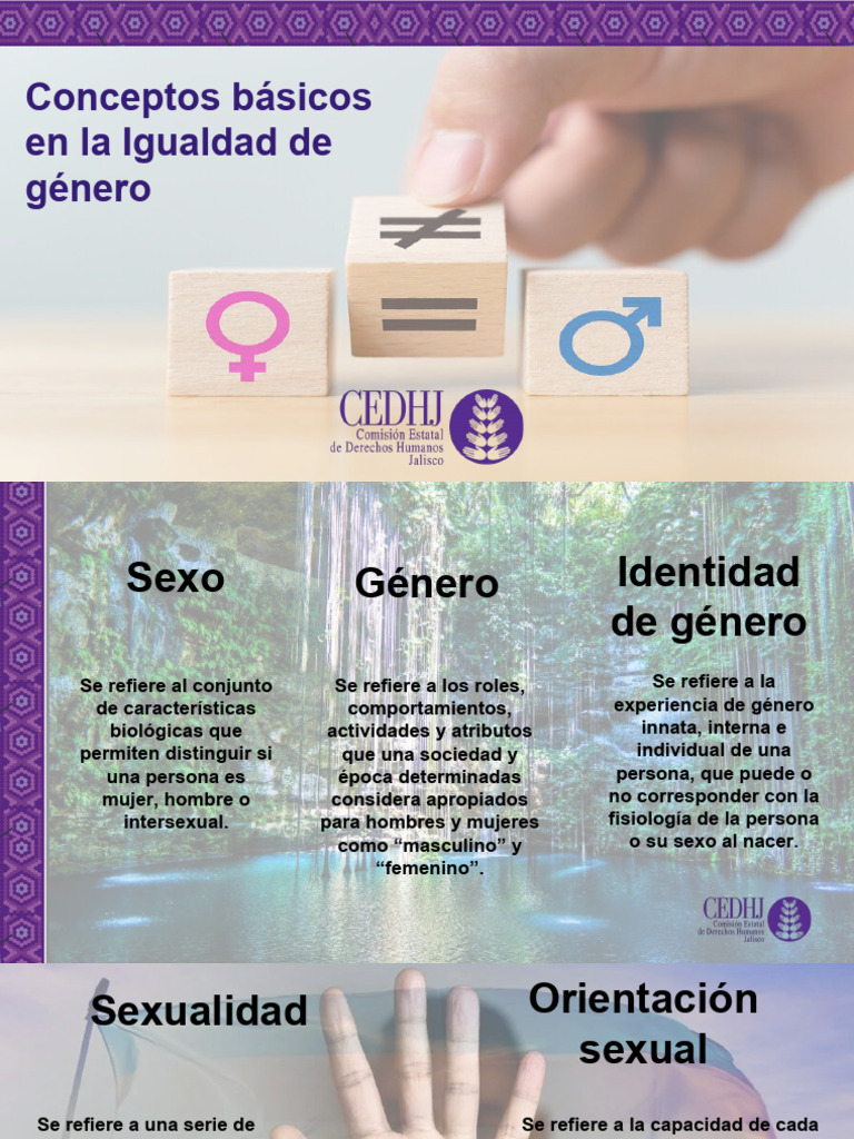Conceptos Clave sobre Igualdad de Género | PDF | Género | Estudios de ...