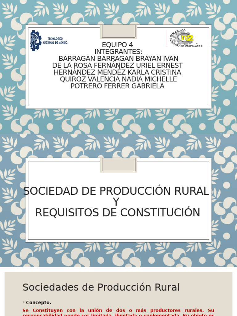 Sociedad de Producción Rural | PDF