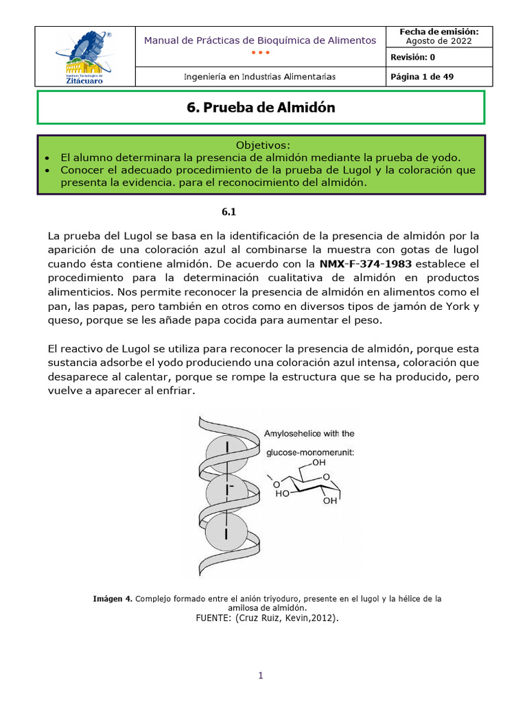 Almidón | PDF