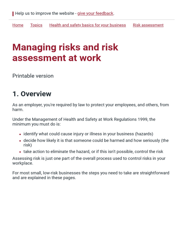 Print - Managing Risks and Risk Assessment at Work | PDF
