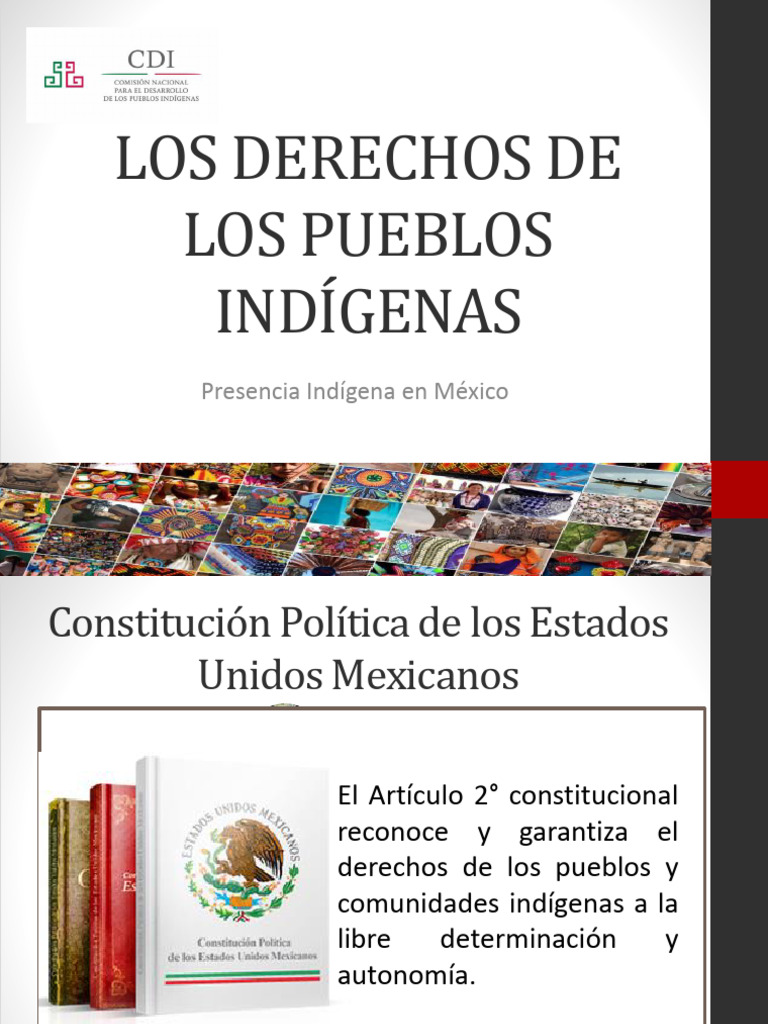 Derechos de Los Pueblos Indigenas 2 | PDF
