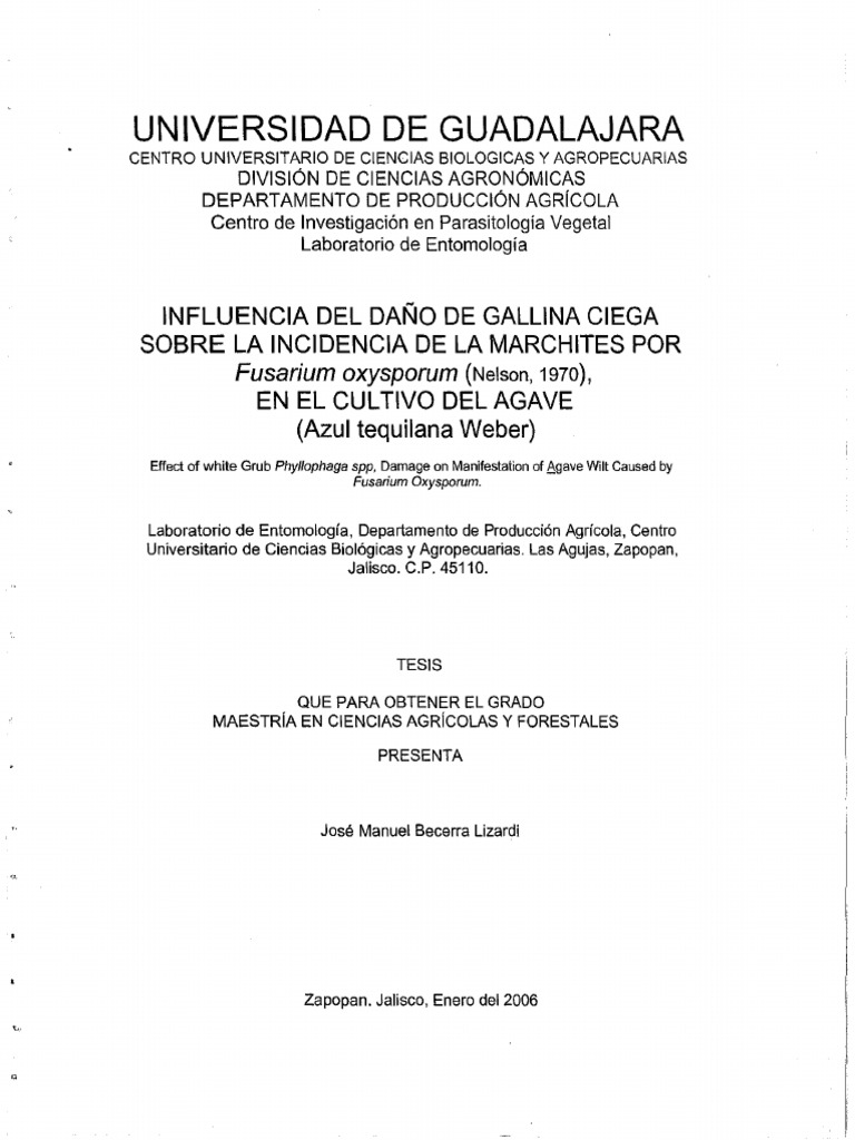 Becerra Lizardi Jose Manuel | PDF