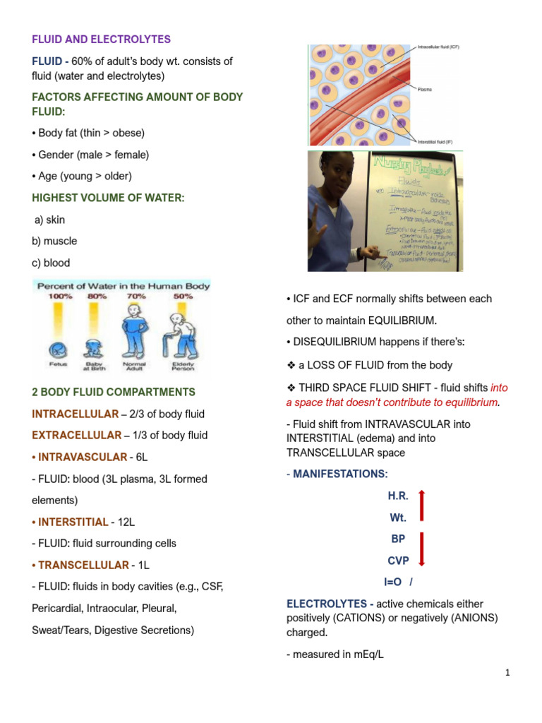 Fluid And Electrolytes Pdf