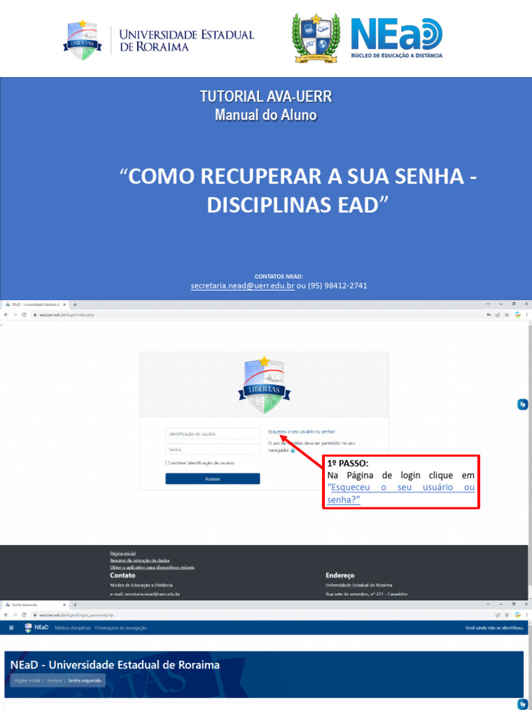 Recuperar Senha Nead | PDF