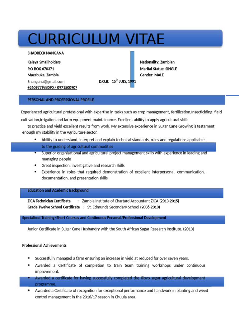 CV UPDATE | PDF