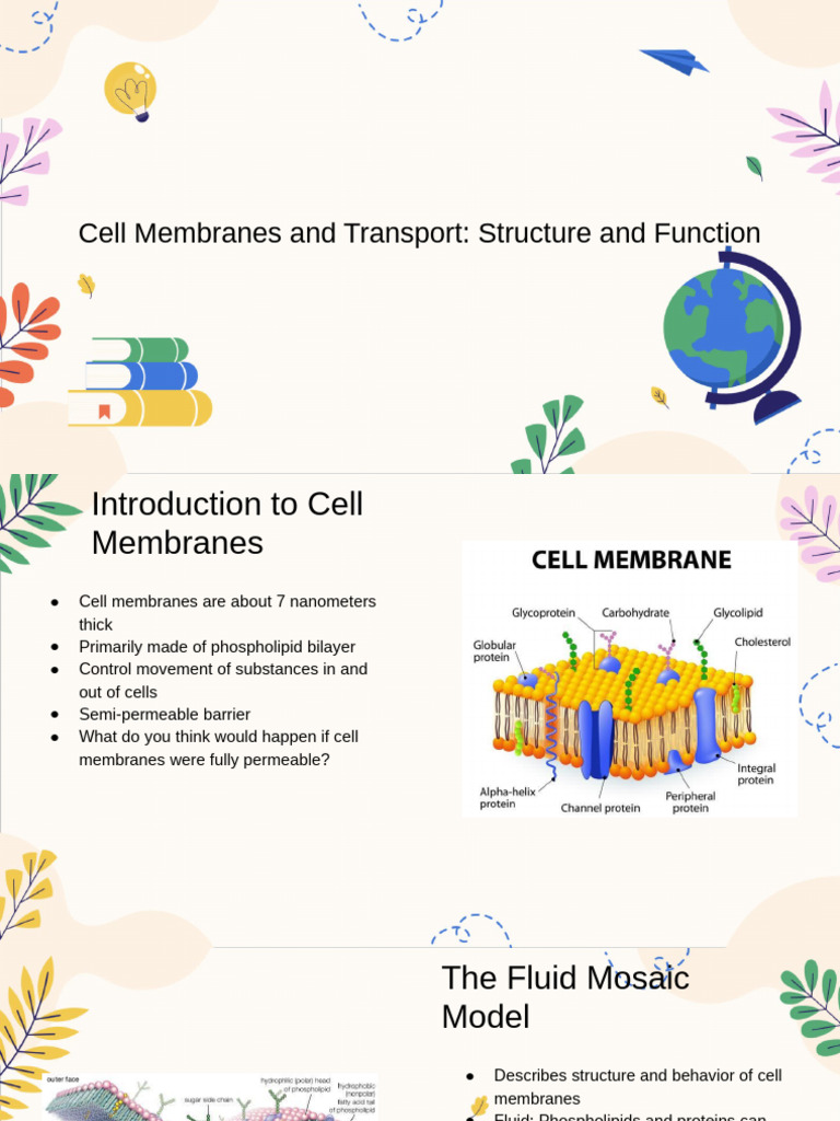 Cell Membrane | PDF