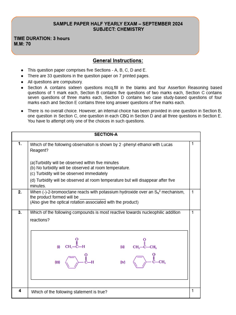Sample Paper Half Yearly Exam - September 2024 | PDF
