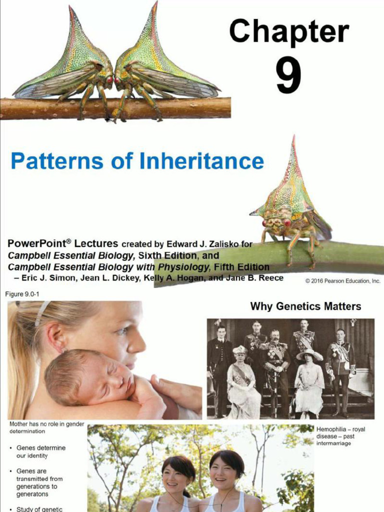 pattern of inheritance | PDF