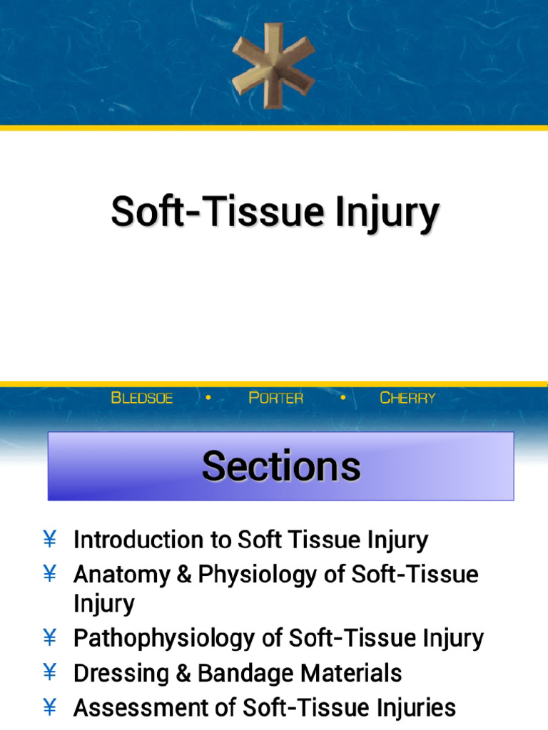 Soft Tissue Injury 1 | PDF