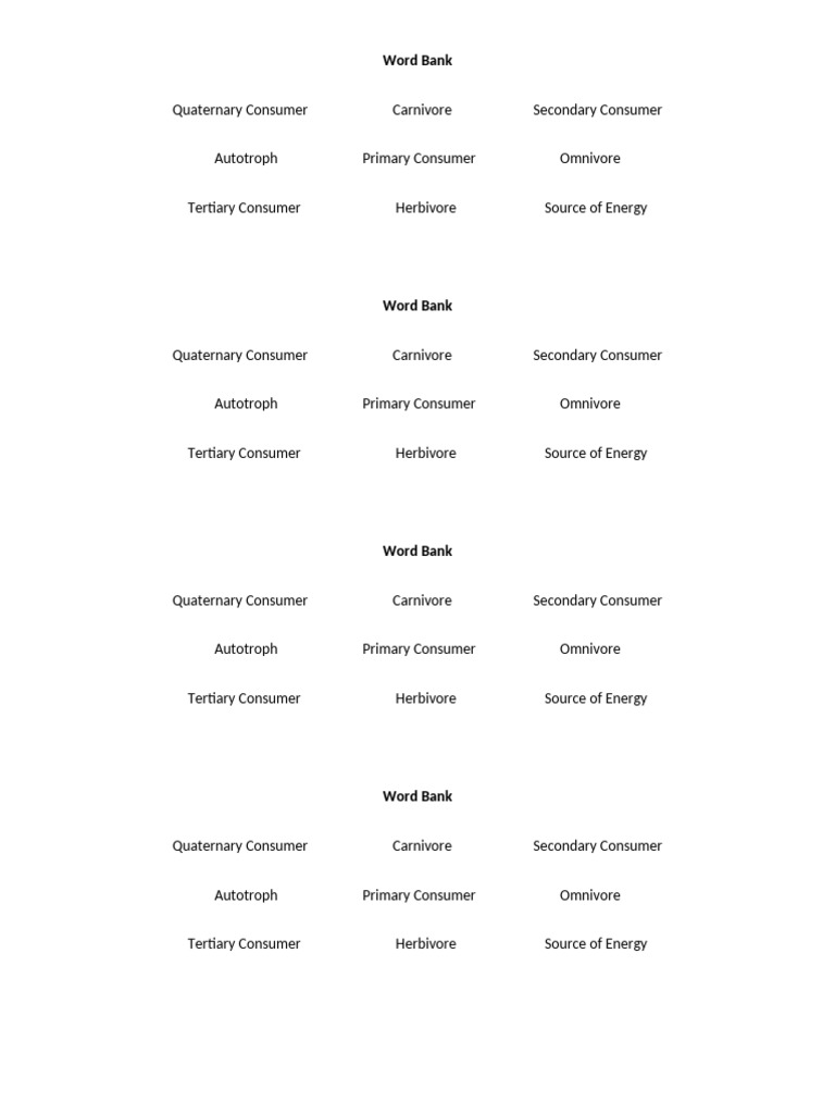 Food web word bank pdf