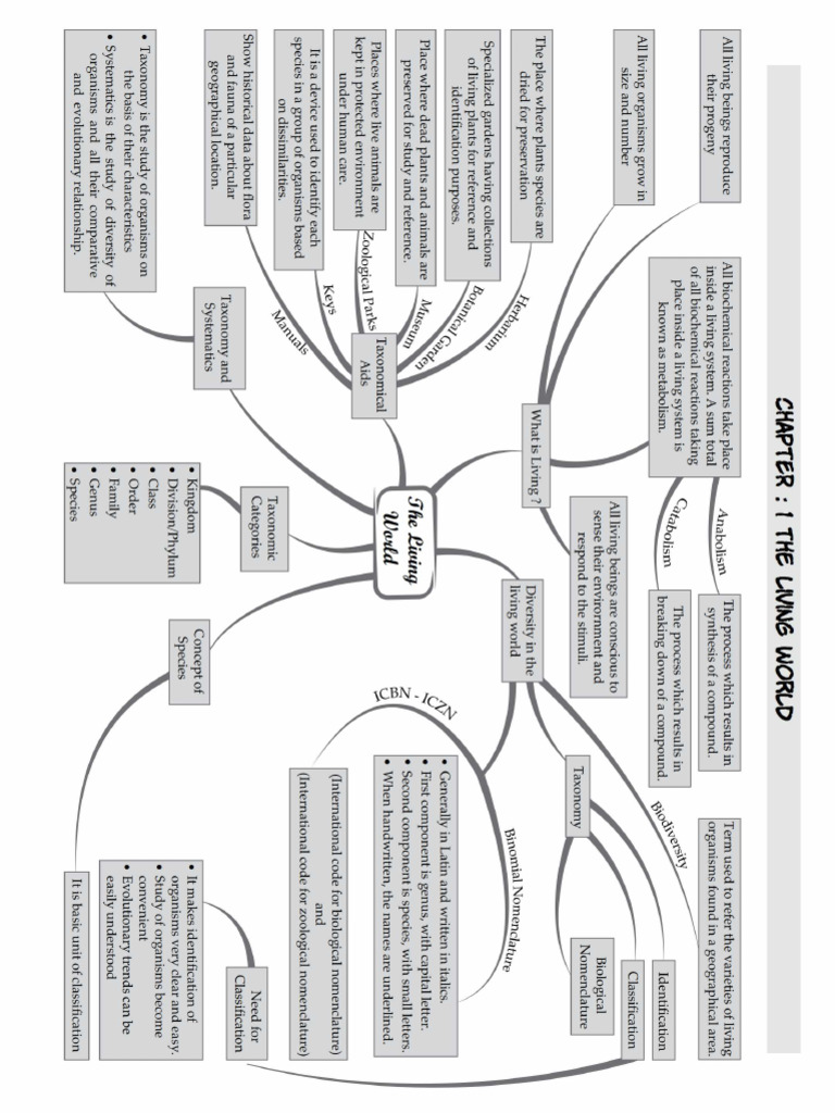 Cl 11 bio mindmaps pdf