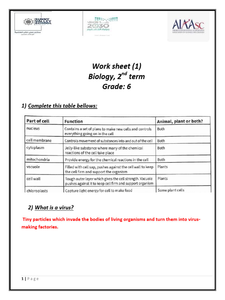 Work Sheet 1 Second Term - Biology .Grade 6 M | PDF | Microscope | Cell ...