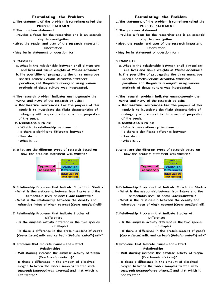 Writing The Problem Statement | PDF