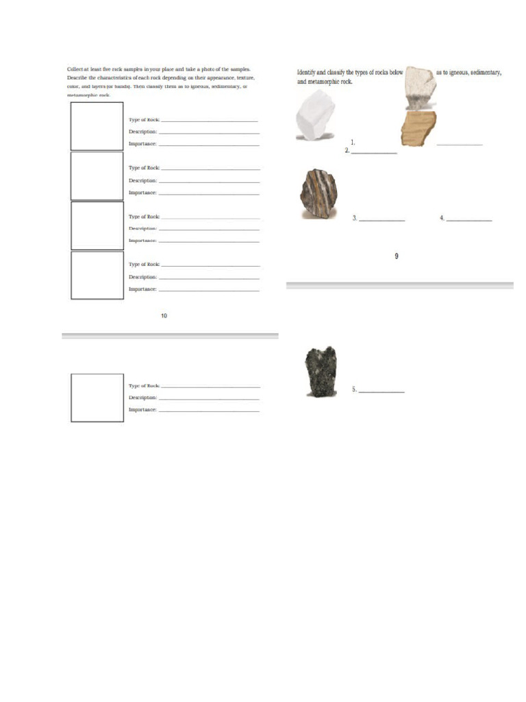 ACTIVITY4 | PDF