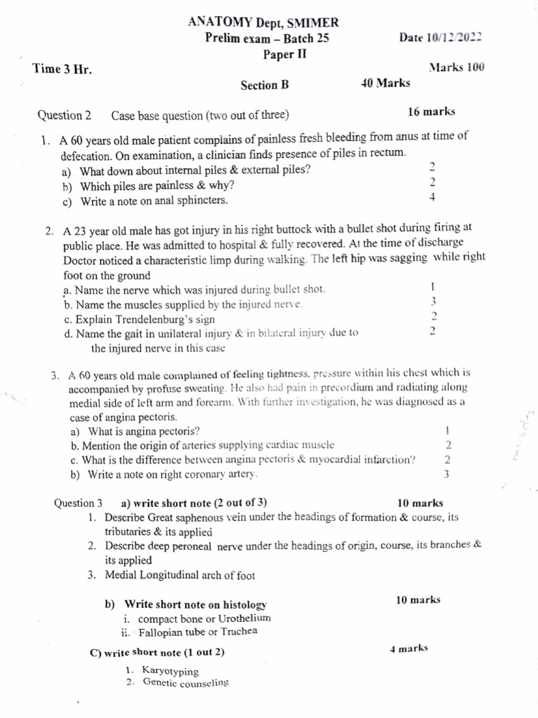 Anatomy-2, Smimer Paper | PDF