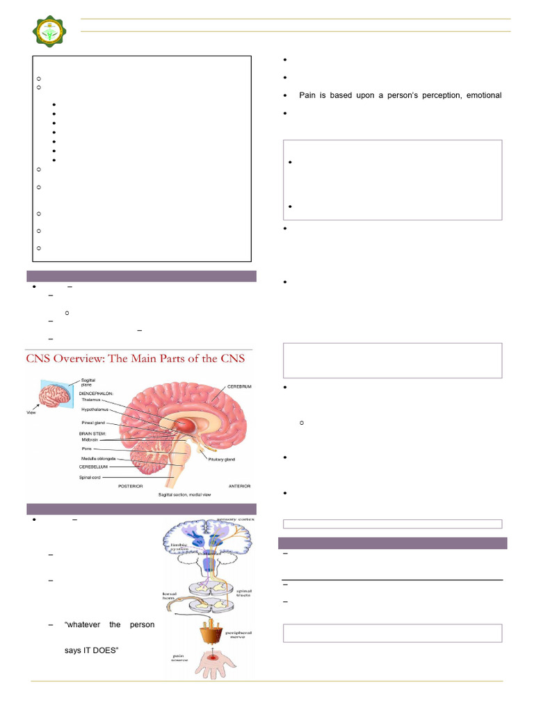 (NCM 106) 2 Drugs Affecting The Central Nervous System | PDF