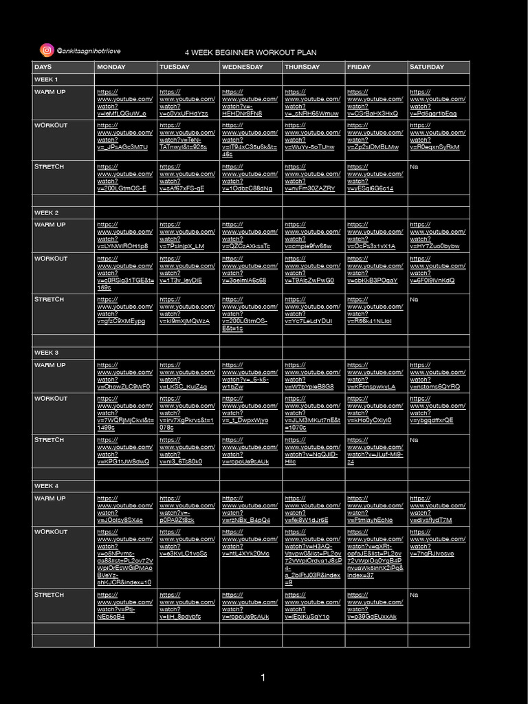 Fatloss & Muscle Gain 4 Week Beginner Workout 2 | PDF