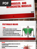 Chest Muscles Anatomy Chart | PDF