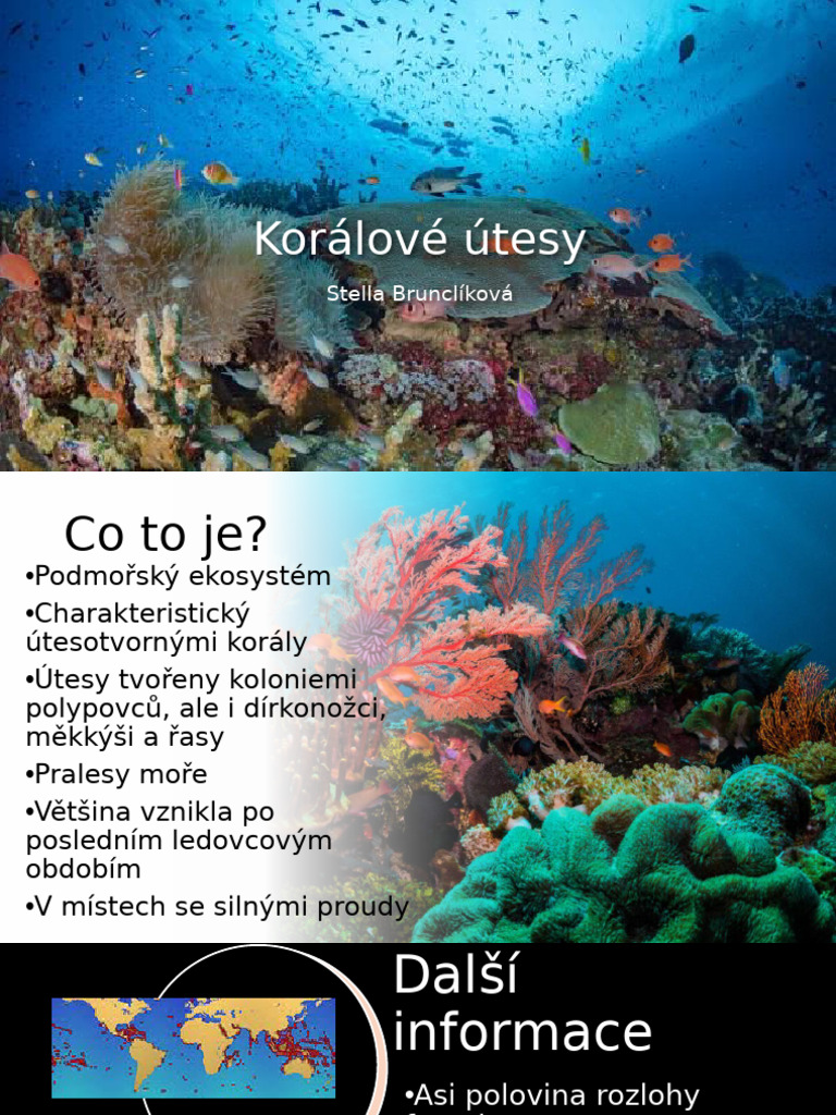 Korálové Útesy | PDF