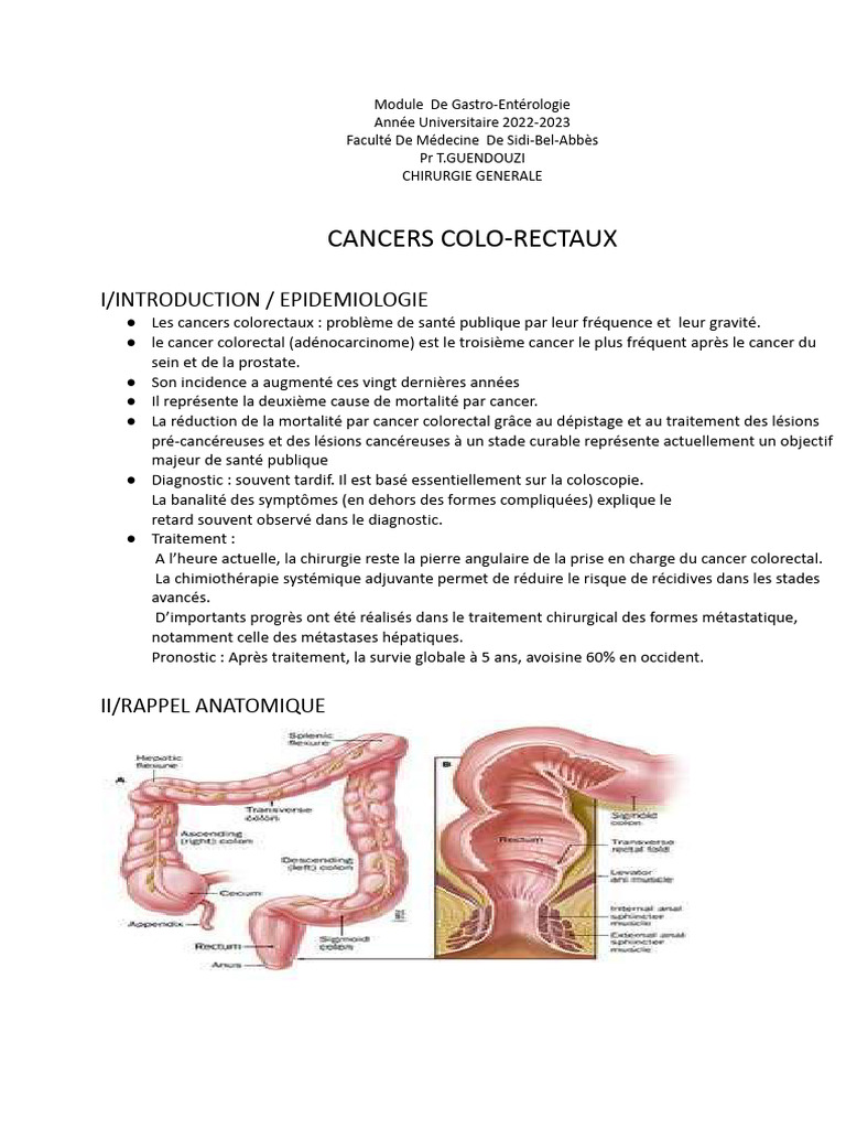 Cancers Colorectaux : Épidémiologie et Traitement | PDF | Cancer du ...
